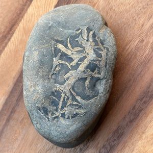 Impression Fossil Unique Leaf Imprint on Rock, Lakeshore Keepsake